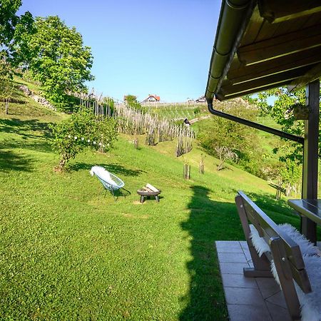 Vineyard Cottage Klemencic Ново Место Екстериор снимка