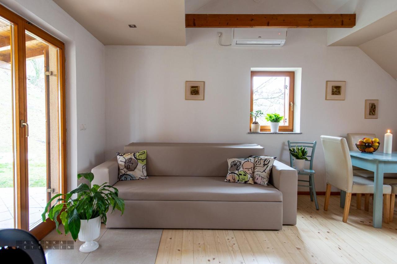 Vineyard Cottage Klemencic Ново Место Екстериор снимка