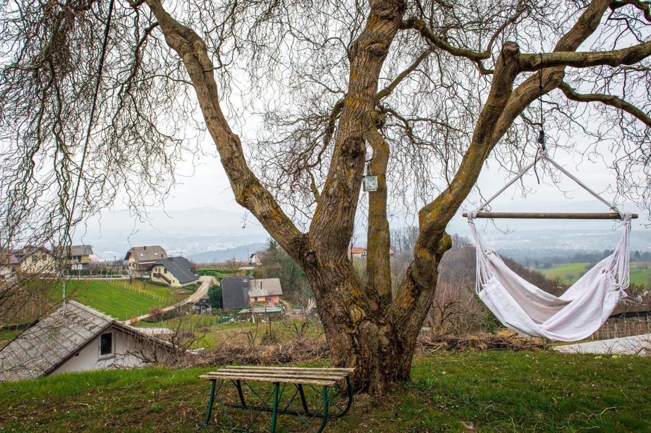 Vineyard Cottage Klemencic Ново Место Екстериор снимка