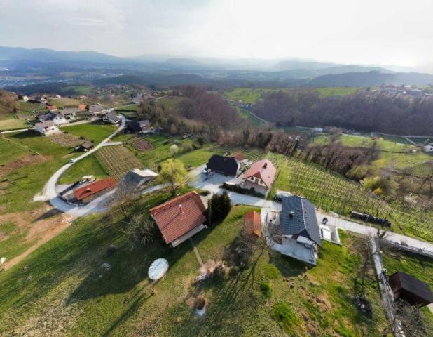 Vineyard Cottage Klemencic Ново Место Екстериор снимка