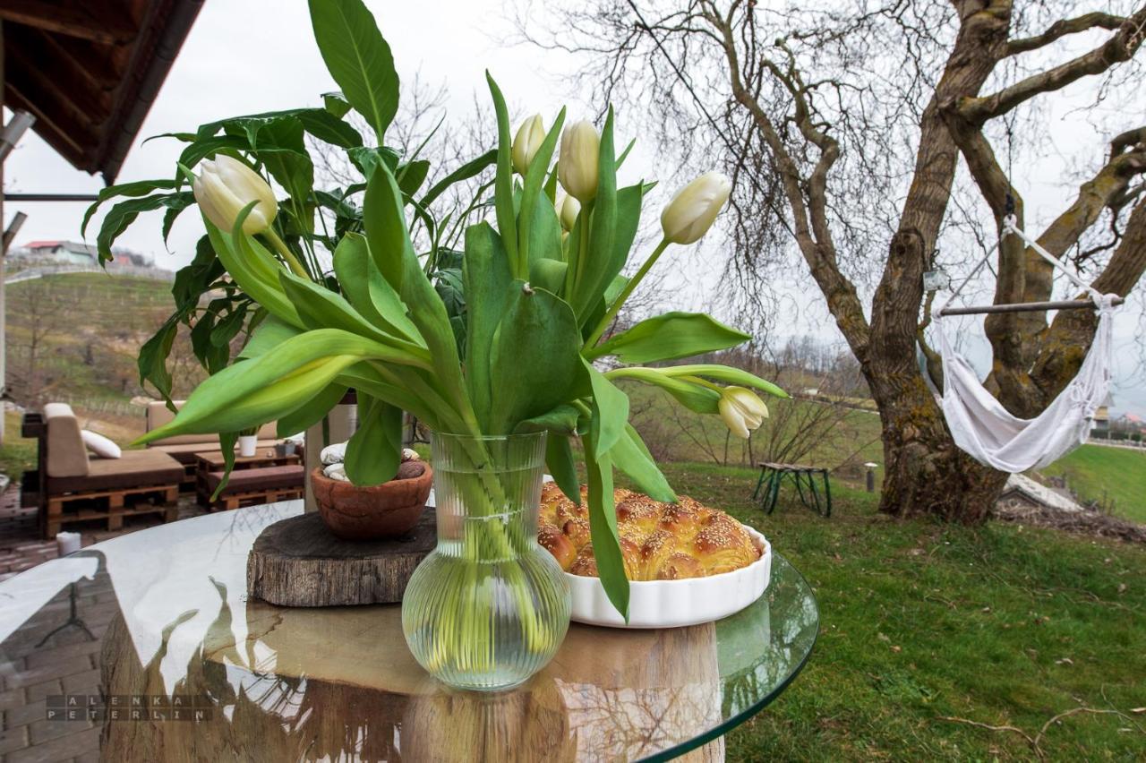 Vineyard Cottage Klemencic Ново Место Екстериор снимка