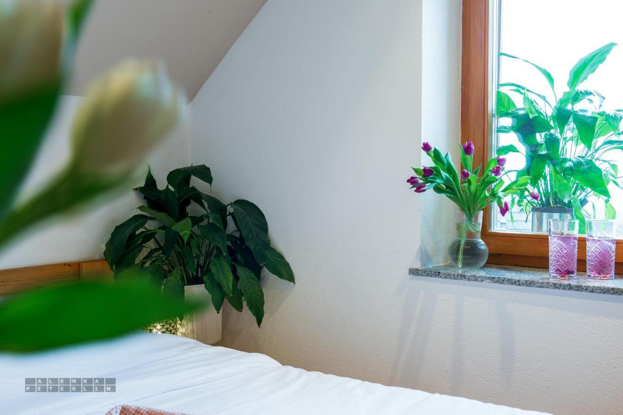 Vineyard Cottage Klemencic Ново Место Екстериор снимка