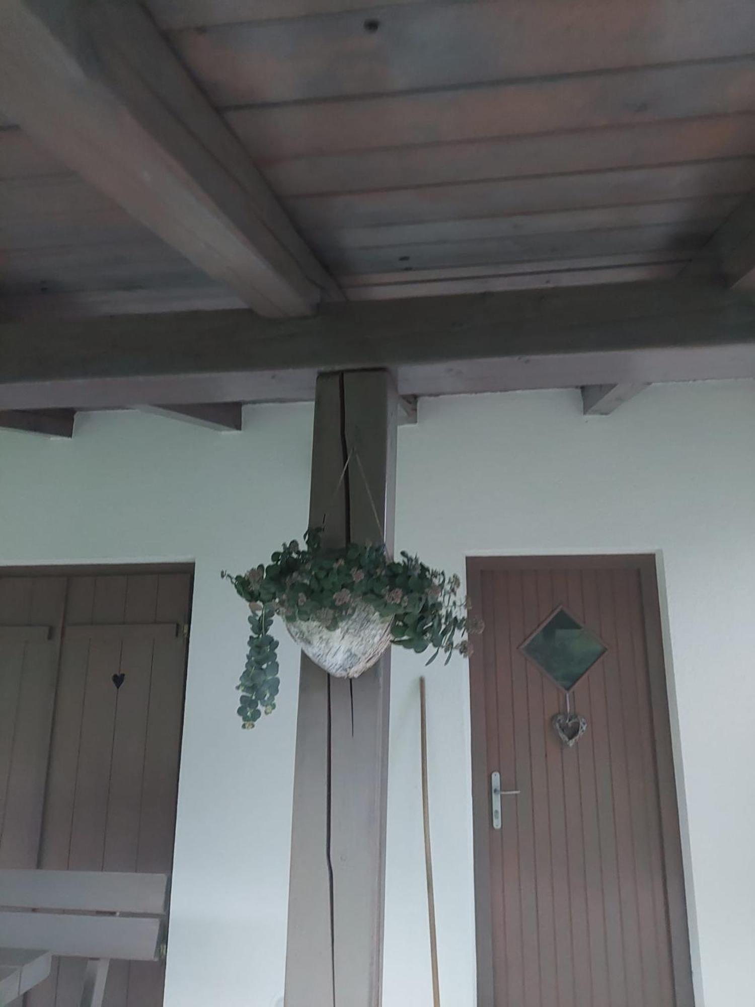 Vineyard Cottage Klemencic Ново Место Екстериор снимка