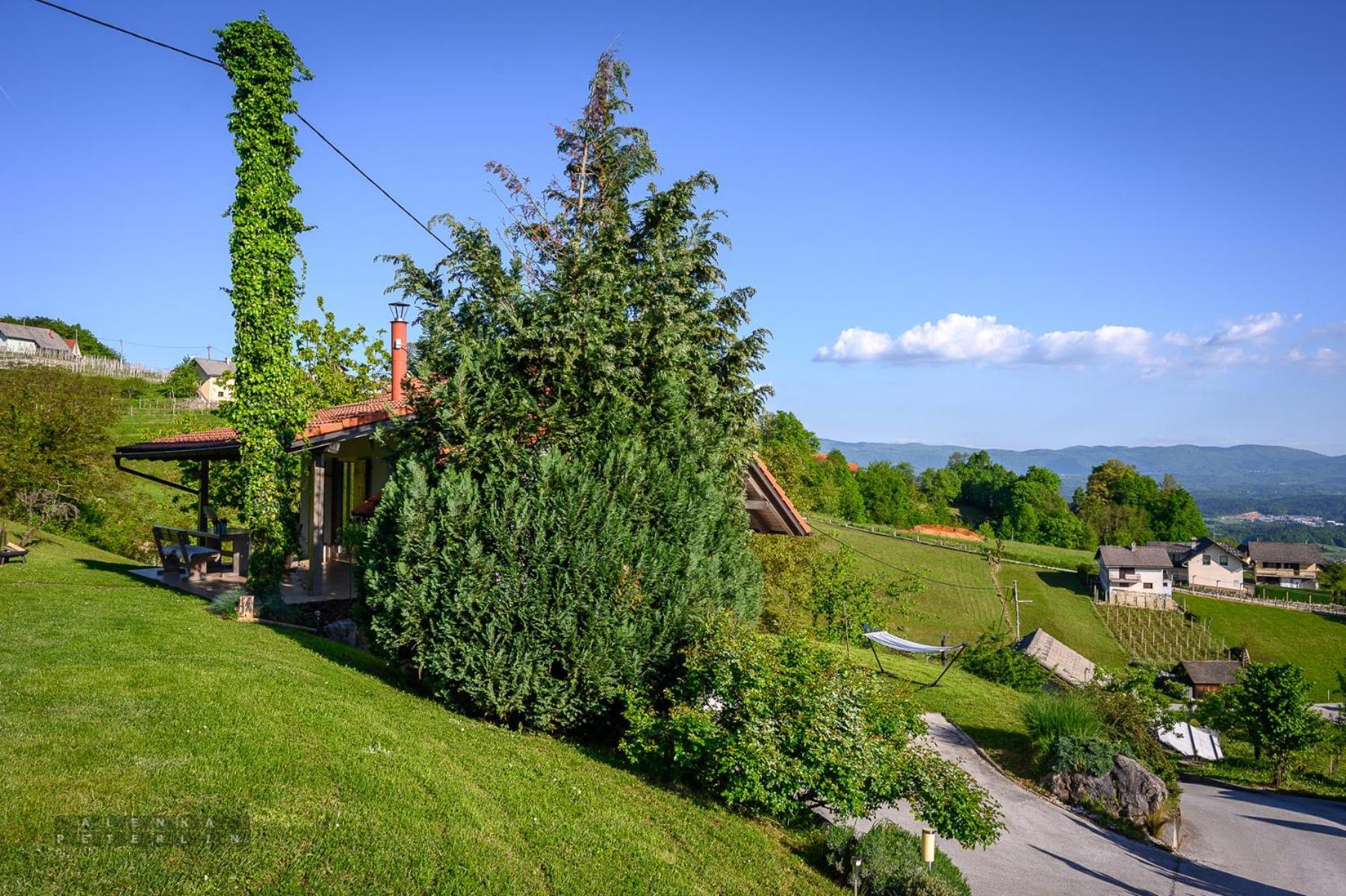Vineyard Cottage Klemencic Ново Место Екстериор снимка