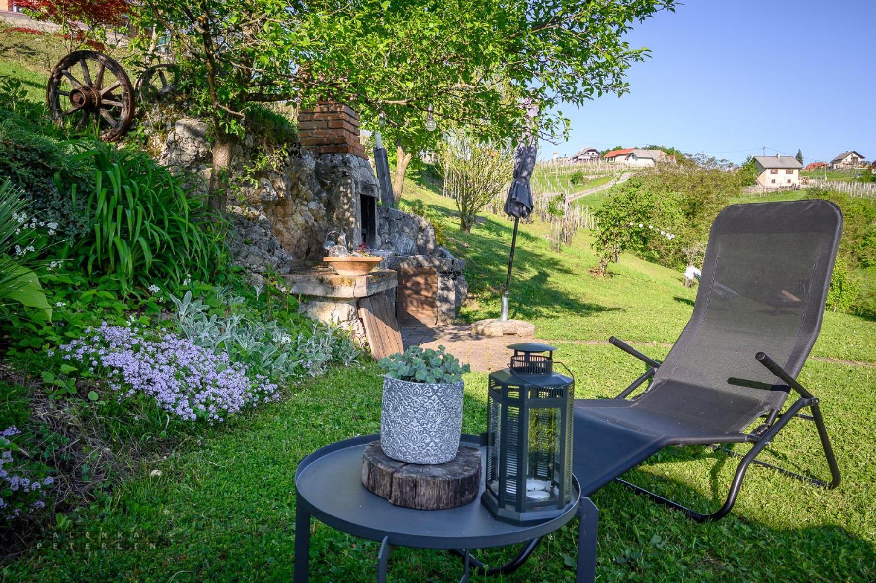 Vineyard Cottage Klemencic Ново Место Екстериор снимка