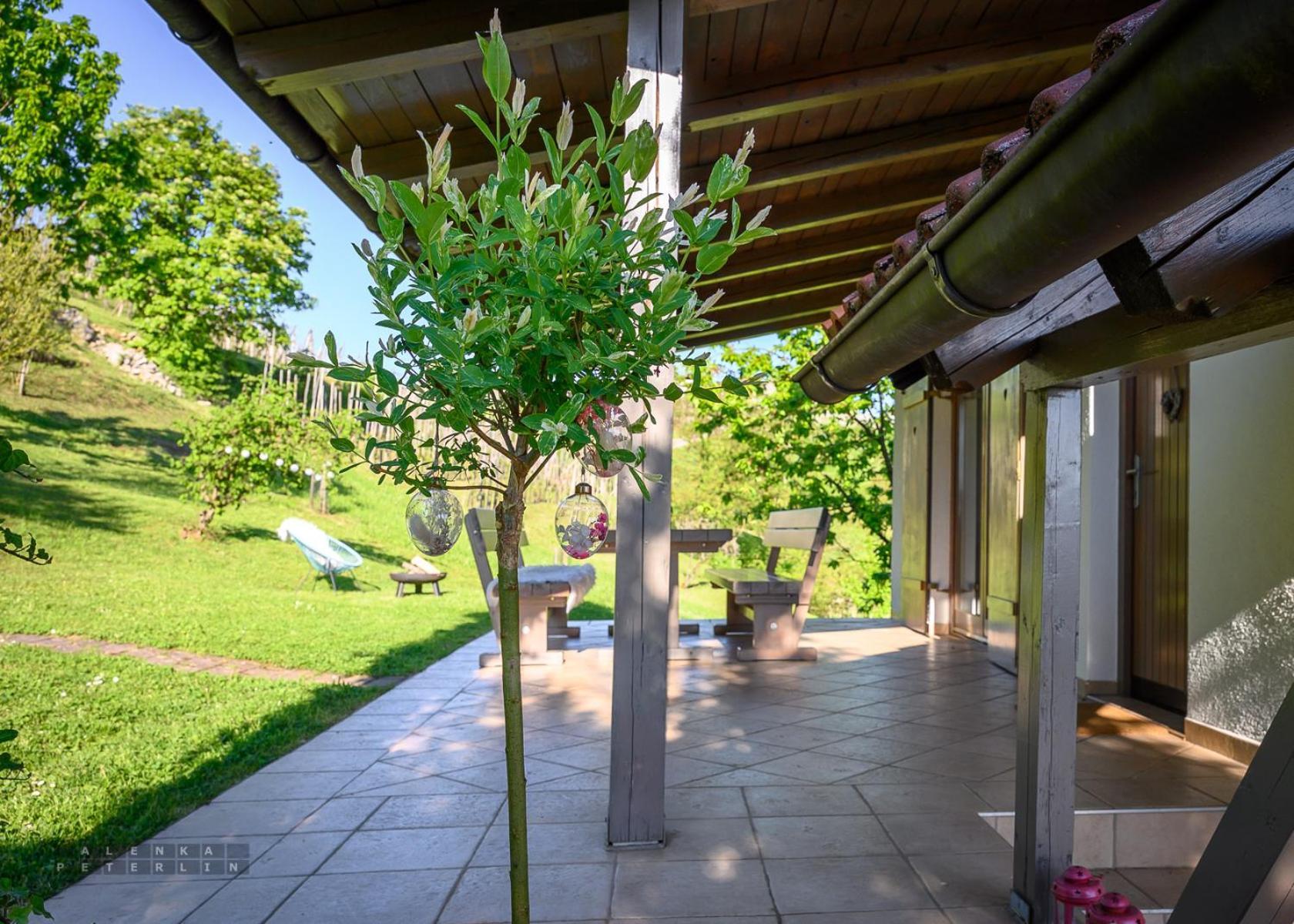 Vineyard Cottage Klemencic Ново Место Екстериор снимка